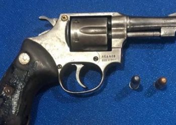 Polícia prende autor de disparo em cachorro na cidade de Medicilândia