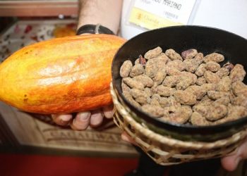 Negócios fechados no Chocolat São Paulo 2019 superam expectativas