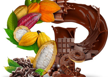 Comitiva do Pará visita fábricas em preparação ao ‘Chocolat São Paulo 2019’