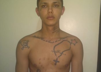 Polícia encontra corpos de mãe e filha enterradas na zona rural de Altamira