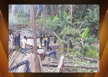 Corpo queimado é encontrado em área de invasão em Senador José Porfírio