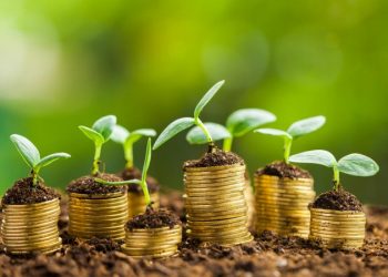 Contratação de crédito agropecuário deve ser mantido em R$ 194,37 bilhões