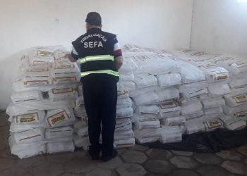 60 mil pacotes de fumo são flagrados escondidos entre sacas de café, no PA
