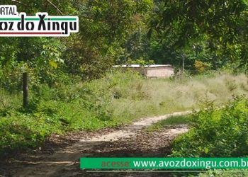 Vitória do Xingu: bandidos tocam o terror em residências na PA-415