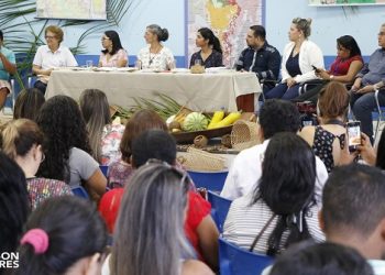 Farinha de babaçu é alternativa sustentável para a farinha de milho