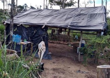 Grupo Móvel resgata trabalhadores em situação degradante em fazendas de Medicilândia