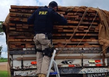PRF apreende mais de 100 m³ de madeira ilegal no Pará