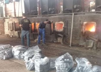 PF incinera meia tonelada de cocaína apreendida em embarcação no estado