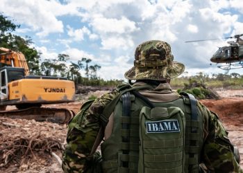 Concurso Ibama 2019: novo pedido deve ser encaminhado até o fim desse mês