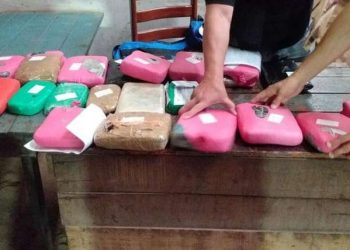 Drogas apreendidos são incineradas em madeireira de Santarém