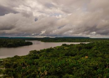 Mapeamento em Juruti encontra mais de 160 espécies em etapa de projeto para criar área protegida
