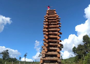 Fogueira de 11 metros e confraternizações marcam a passagem do Dia de São João na região do Xingu; veja fotos e vídeos