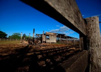 Aprovação da nova lei de terras no Pará está marcada por inconstitucionalidades