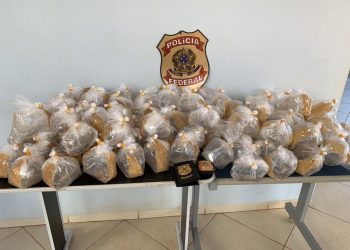 Centenas de peixes de espécie ameaçada de extinção são apreendidos em Altamira