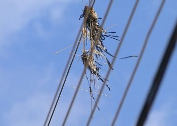 Pará registra, em junho, mais de 400 casos de falta de energia provocados por pipas