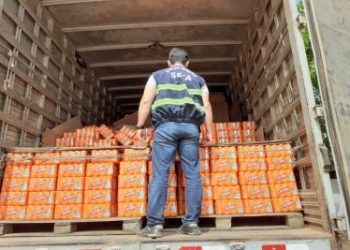 Caminhões com mais de 141 mil latas de cerveja sem nota fiscal são apreendidos no sudeste paraense