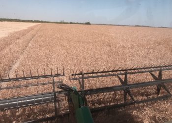 Inscrições abertas para encontro preparatório do 10º Congresso de Profissionais do Crea-PA