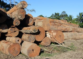 IBAMA encerra operação em Uruará