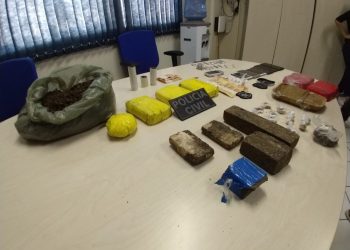 Polícia Civil apreende drogas durante operação em Tucuruí