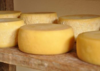 Senado aprova regras para produção e venda de queijos artesanais