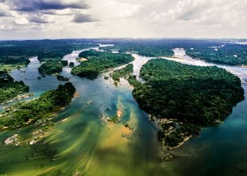 Órgãos estaduais e ONG debatem ações para APA Triunfo do Xingu