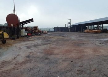 Ação da PF em 5 estados mira esquema de desmatamento ilegal que movimentou R$ 80 milhões