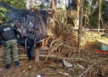 Operação contra o desmatamento destrói mais acampamentos clandestinos em área de proteção ambiental no PA