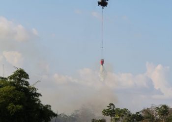 Forças Armadas despejam 8 mil litros de água em foco de incêndio em Altamira, no PA