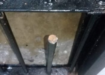 Celas são encontradas serradas em revistas no Centro de Recuperação Regional de Altamira