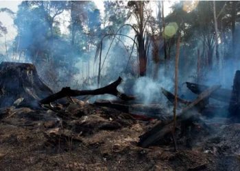 PF investigará se houve convocação para queimadas no Pará em ‘dia do fogo’