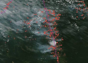 Fazendeiros promovem ‘Dia do Fogo’ no sudoeste paraense