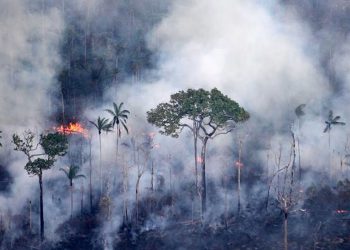 Pará: governo anuncia extinção de fogo no Parque Nacional dos Campos