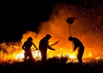 Pará e mais 17 estados receberão brigadas para prevenir e combater incêndios