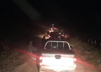 Operação apreende madeiras em Anapu