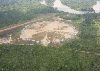 Operação Verde Brasil divulga número para apurar denúncias de crimes ambientais