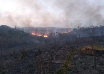 Norte Energia controla incêndio próximo à Usina