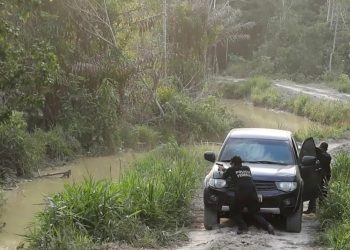 Acompanhada da PF e da Força Nacional, equipe do Ibama é alvo de tiros em Altamira