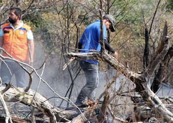 Estado considera extintos focos de incêndio em Alter do Chão