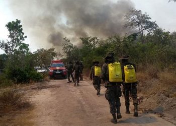 Estado executa força-tarefa para combater incêndio na região oeste do Pará