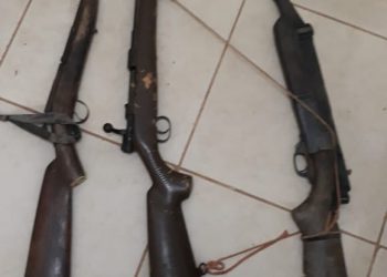 Armas de fogo são apreendidas durante investigação de triplo homicídio em Anapu