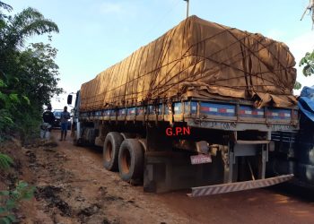 Caminhão carregado com madeira é apreendido pela PRF