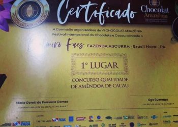 Produtor de Medicilândia conquista 1º lugar do concurso de amêndoas de cacau