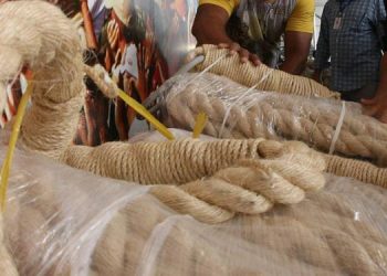 Guarda de Nossa Senhora de Nazaré intensifica campanha ‘Não corte a corda’