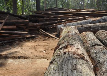 Mega operação é montada para transportar madeira apreendida na Operação Artemis