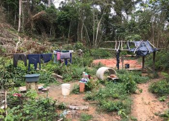 Operação resgata 18 pessoas em situação análoga à escravidão em Uruará, no PA