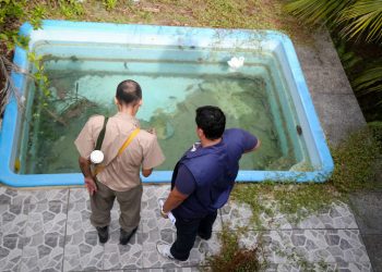 Casos de dengue cresceram 33% no Pará nos primeiros oito meses do ano