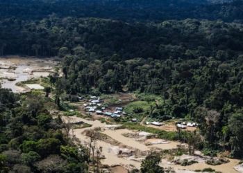 AGU consegue liminares ordenando que invasores deixem terras indígenas no Pará