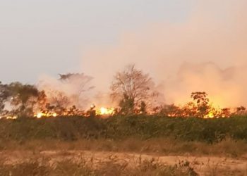 Incêndio próximo à transamazônica assusta moradores em Itaituba