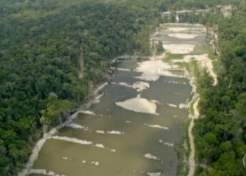 Garimpo ilegal está desmatando e contaminando rio em terra indígena no Pará, diz Greenpeace