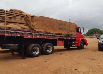 PRF já apreendeu mais de 4 mil metros cúbicos de madeira ilegal no Pará